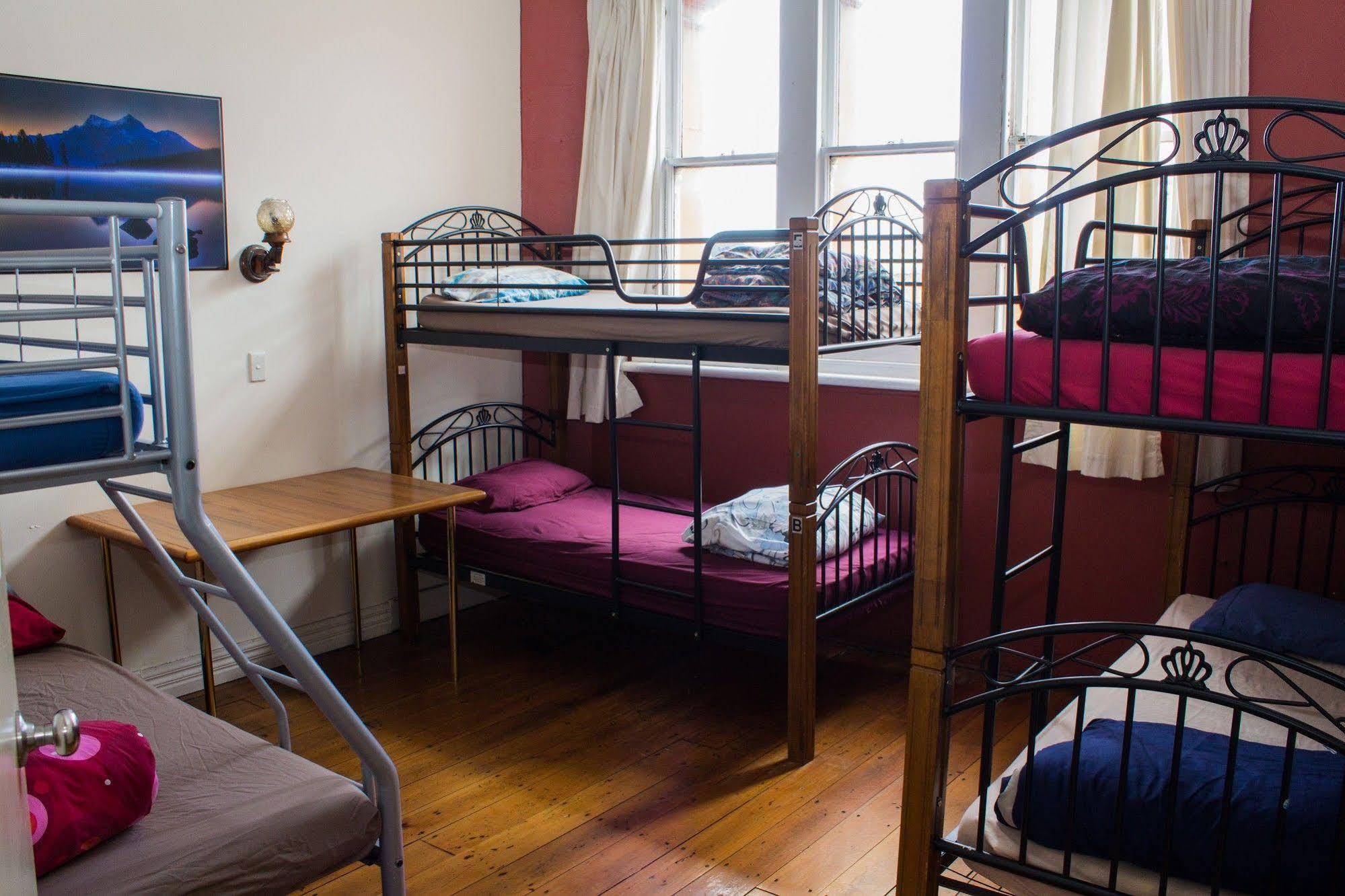 Geeky Gecko Backpackers Hostel Dunedin Luaran gambar