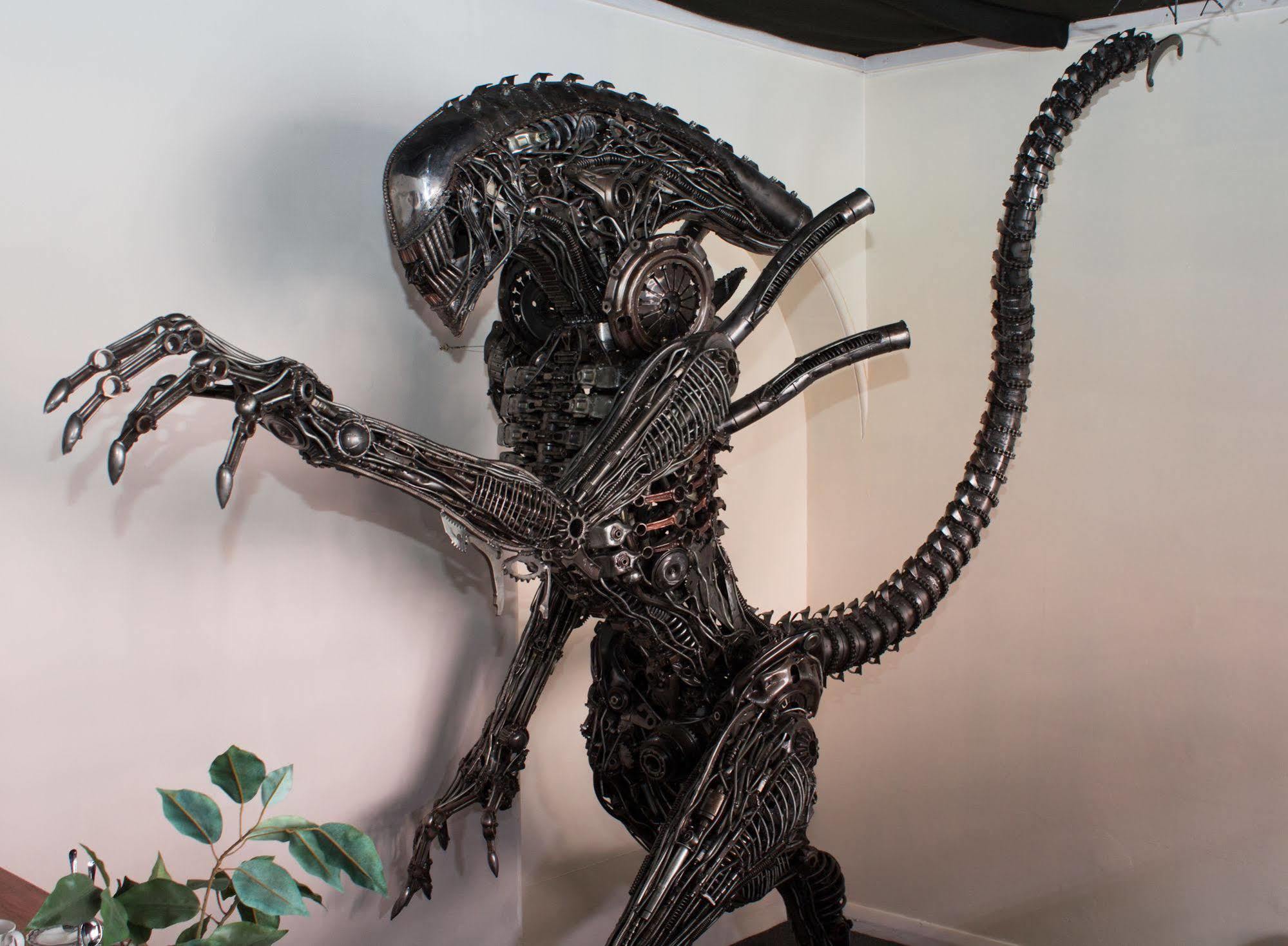 Geeky Gecko Backpackers Hostel Dunedin Luaran gambar